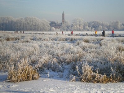 Holiday park Ruhiges Waldchalet - Environment photo 27
