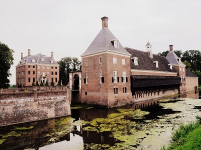 Holiday park Ruhiges Waldchalet - Environment photo 28