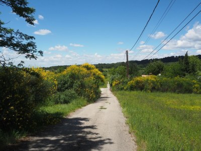 Holiday house Holiday Home in Villes-sur-Auzon with Pool - Outdoor photo 4