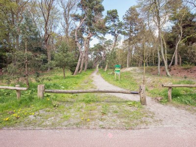 Holiday apartment Holiday Bergen - Environment photo 16