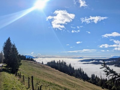 Chalet Bergzauber - Environment photo 29