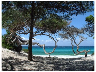 Holiday apartment Vieux Moulin - Environment photo 15