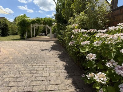 Holiday house Wein & Wald - Outdoor photo 25