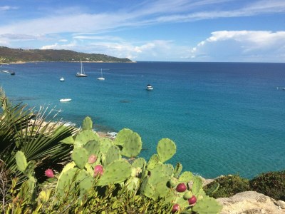 Holiday house Holiday Home in La Croix-Valmer near Beaches - Environment photo 19