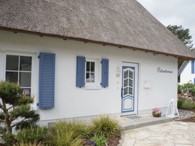 Holiday house Ostseetraum - Outdoor photo 3