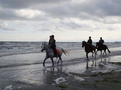 Holiday house Ostseetraum - Environment photo 20