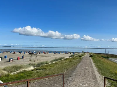 Holiday house Allergiker freundliches Haus in Neßmersiel - Environment photo 24