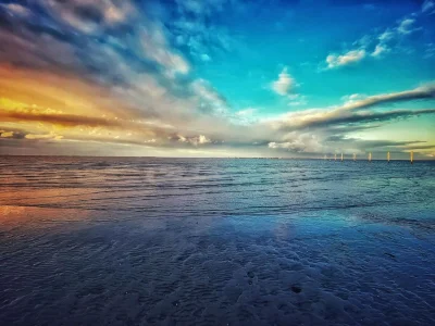 Holiday house Allergiker freundliches Haus in Neßmersiel - Environment photo 29