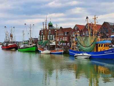 Holiday house Schicke Doppelhaushälfte in Neßmersiel - Environment photo 17
