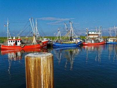 Holiday house Schicke Doppelhaushälfte in Neßmersiel - Environment photo 29