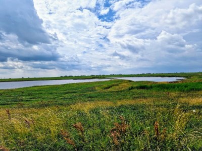 Holiday house Haus in Ostfriesland mit Garten - Environment photo 23