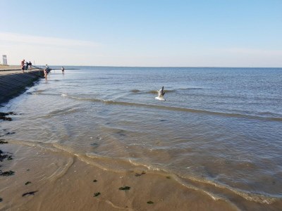 Holiday house Haus in Ostfriesland mit Garten - Environment photo 28