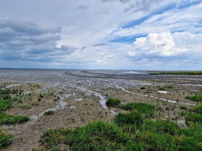 Holiday house Haus in Ostfriesland mit Garten - Environment photo 31