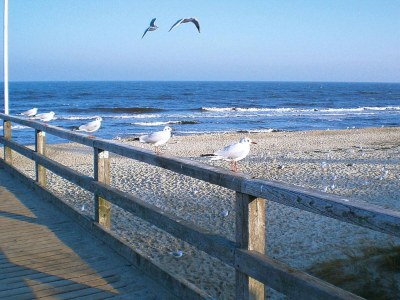 Bungalow Ferienhaus, Zinnowitz - Environment photo 22