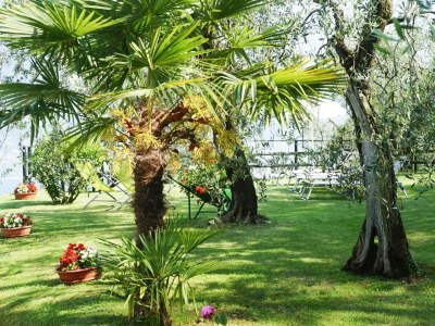 Holiday park Appartements Casa Tamas in Limone - Outdoor photo 2