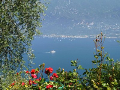 Holiday park Appartements Casa Tamas in Limone - Outdoor photo 27