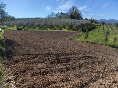 Holiday house Charmantes toskanisches Haus mit Pool in der Nähe von Lucca - Environment photo 23