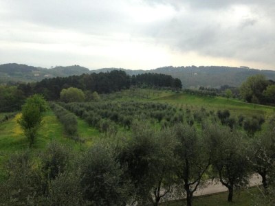 Holiday house Charmantes toskanisches Haus mit Pool in der Nähe von Lucca - Environment photo 27