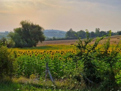 Holiday house La Noisette - Environment photo 31