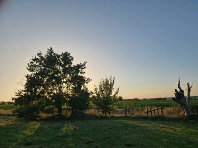 Holiday house La Noisette - Environment photo 32