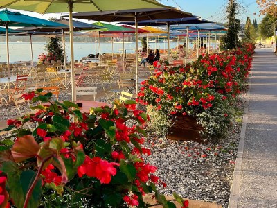 Villa Villa Garda Design & Pool - Environment photo 33