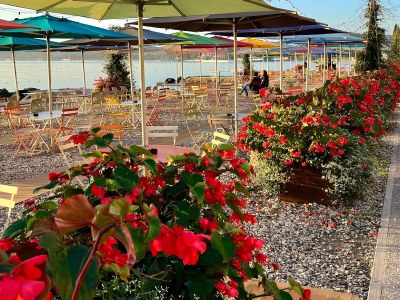 Villa Villa Michelle - view- Pool - Environment photo 22