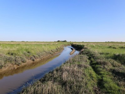 Apartment Ferienwohnung im Erdgeschoss in Neßmersiel - Environment photo 19