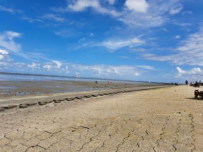 Apartment Ferienwohnung im Erdgeschoss in Neßmersiel - Environment photo 23