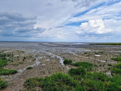 Apartment Ferienwohnung im Erdgeschoss in Neßmersiel - Environment photo 29