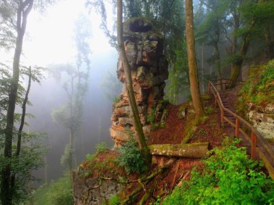 Holiday park Tent Lodge near Echternach Nature Park - Environment photo 15