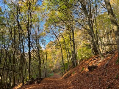 Holiday park Tent Lodge near Echternach Nature Park - Environment photo 16