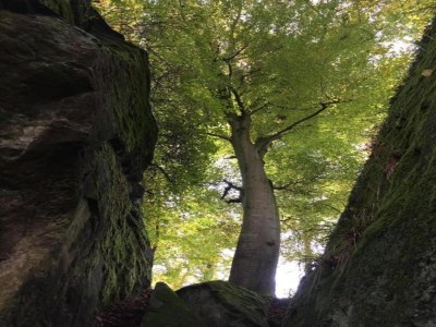 Holiday park Tent Lodge near Echternach Nature Park - Environment photo 19
