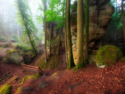 Holiday park Tent Lodge near Echternach Nature Park - Environment photo 27