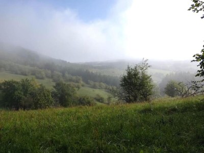 Holiday park Tent Lodge near Echternach Nature Park - Environment photo 31