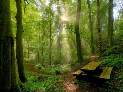 Holiday park Tent Lodge near Echternach Nature Park - Environment photo 36