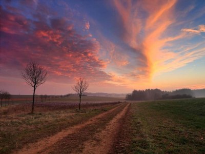Holiday park Tent Lodge by Echternach & Eifel Nature Park - Environment photo 10