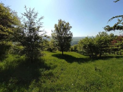 Holiday park Tent Lodge by Echternach & Eifel Nature Park - Environment photo 12