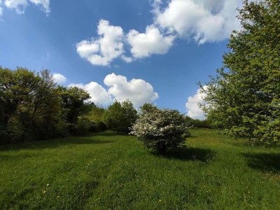 Holiday park Tent Lodge by Echternach & Eifel Nature Park - Environment photo 20