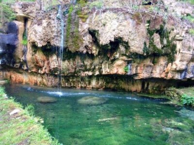 Holiday park Tent Lodge by Echternach & Eifel Nature Park - Environment photo 21