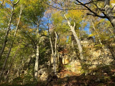 Holiday park Tent Lodge by Echternach & Eifel Nature Park - Environment photo 23