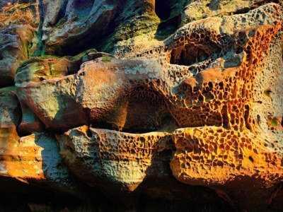 Holiday park Tent Lodge by Echternach & Eifel Nature Park - Environment photo 27