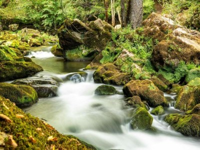 Holiday park Tent Lodge by Echternach & Eifel Nature Park - Environment photo 33
