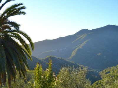 Holiday house Friedlicher Aufenthalt in den ligurischen Hügeln - Outdoor photo 6