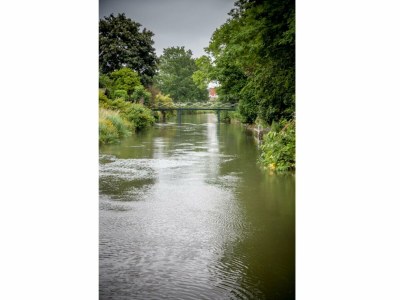 Chalet Holiday Home in Cothen by the Waterfront - Environment photo 24