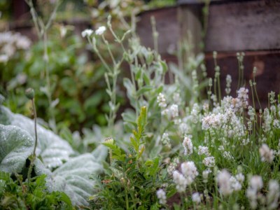 Chalet Holiday Home in Cothen by the Waterfront - Outdoor photo 27