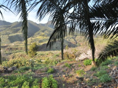 Holiday house Casa Azul near Los Llanos - Outdoor photo 8