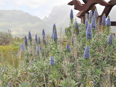 Holiday house Casa Azul near Los Llanos - Environment photo 17