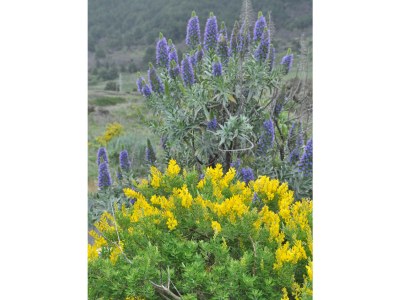 Holiday house Casa Azul near Los Llanos - Environment photo 18