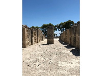 Villa Elia Komos - Environment photo 39