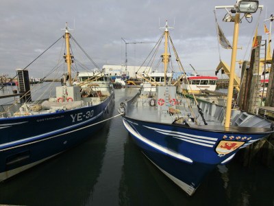 Holiday park Holiday Home at Oosterschelde Water Resort - Environment photo 24